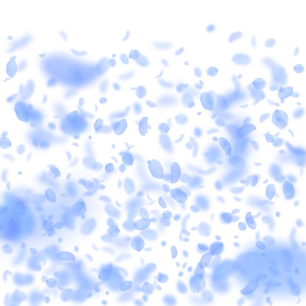 Dark blue flower petals falling down