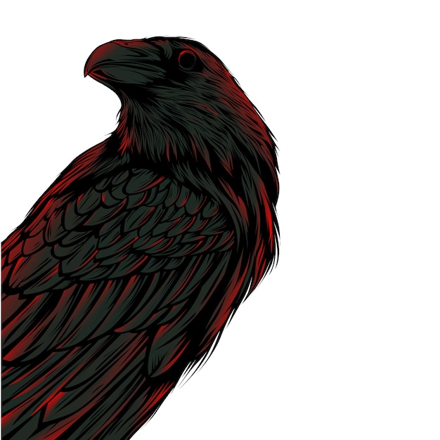 Vector dark crow