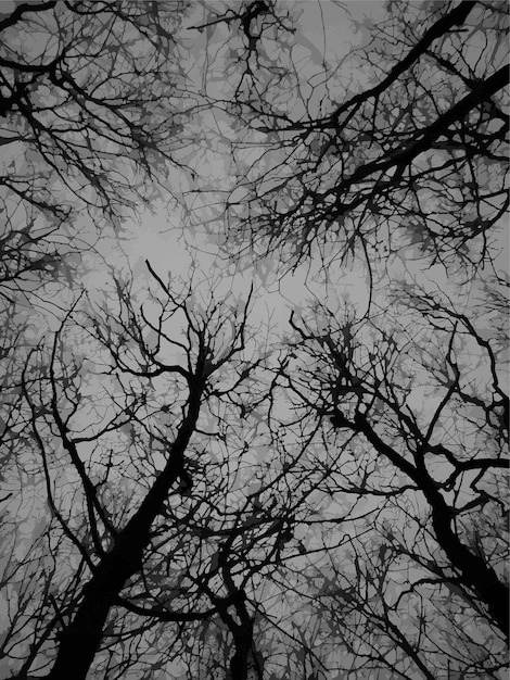 Vector dark forest tree