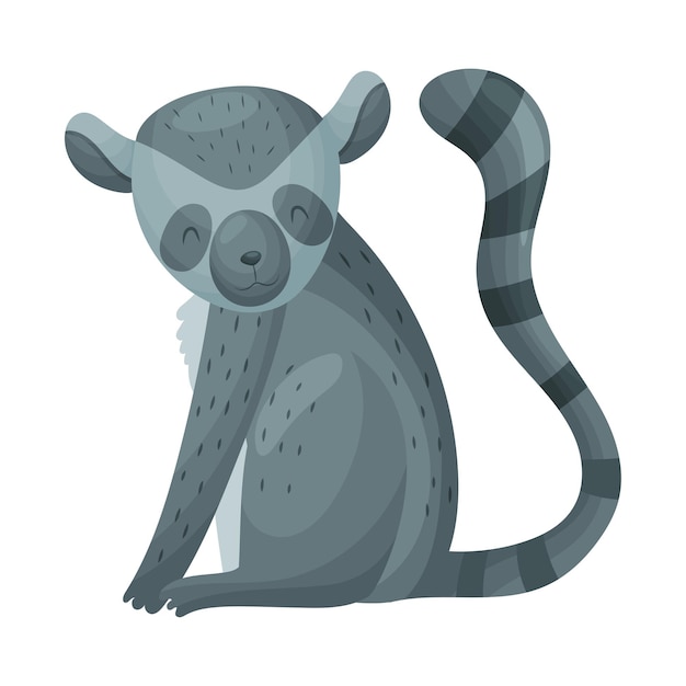 Dark gray lemur with a striped tail sits vector illustration on white background