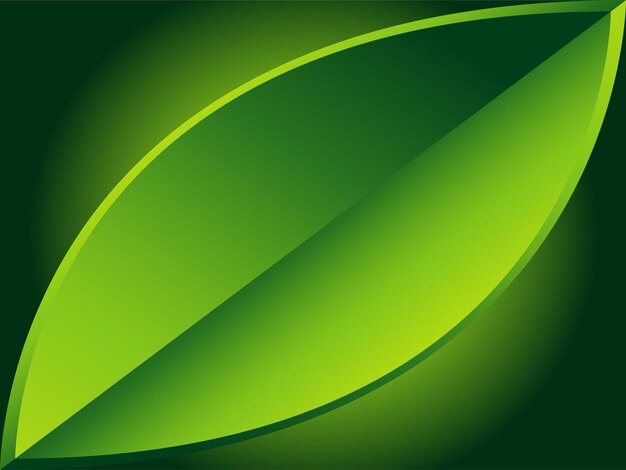 Vector dark green abstract leaf background