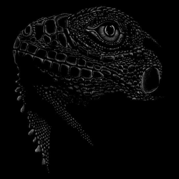 Vector dark lizard illustration