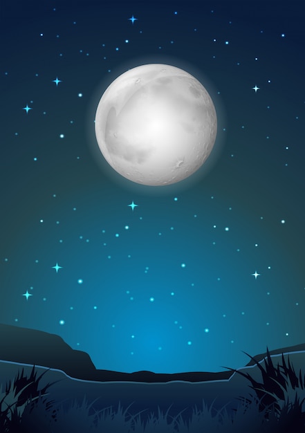 Vector dark night landscape scene