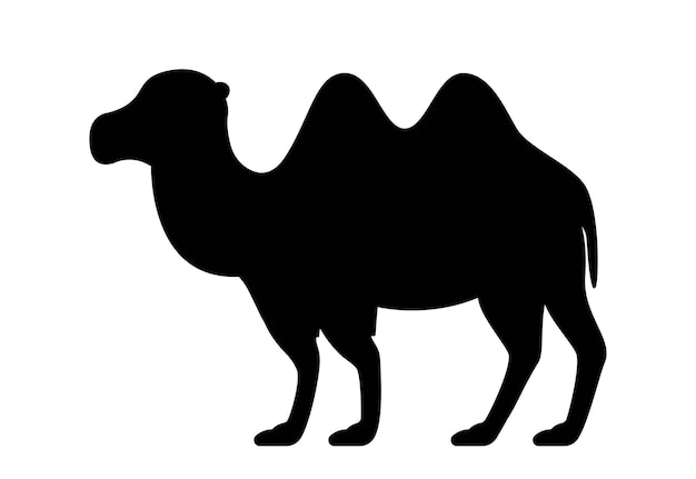Dark silhouette of camel