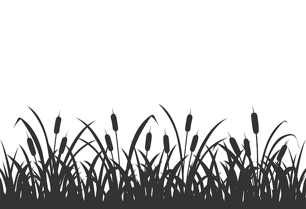 Dark silhouette of marsh grass with reeds background with marsh vegetation on white