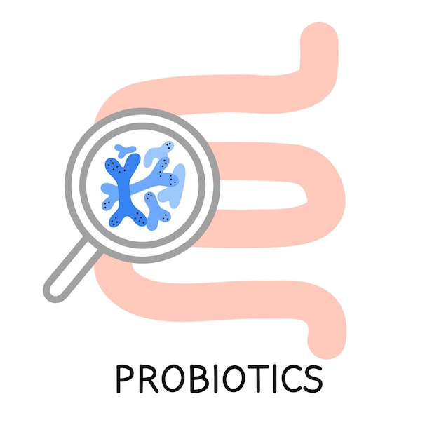 Darmen en probiotica Verschillende kleurrijke microbiome en microbiota Bifidobacterium en lactobacillus supplement geïsoleerde elementen Gastro-intestinale gezondheid vector cartoon vlakke illustratie
