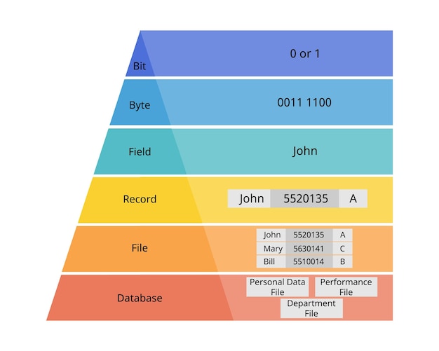 Data Hierarchy of bit byte field record file database
