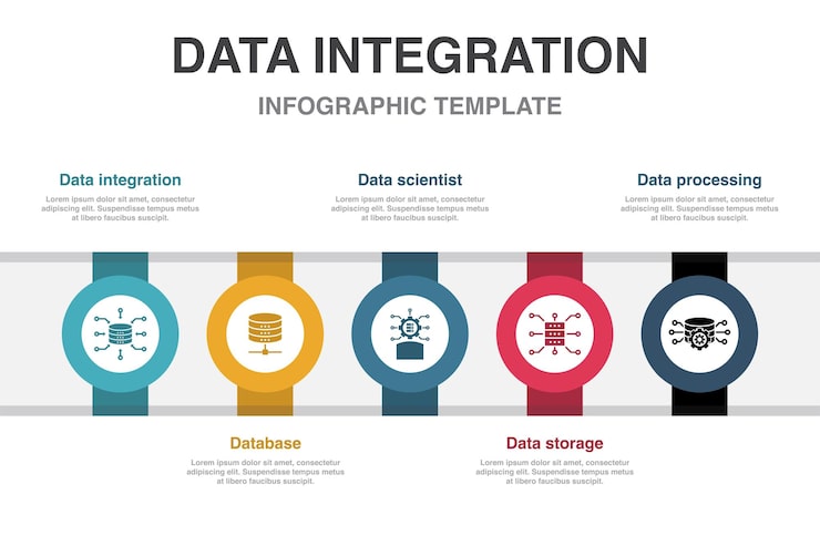 Vector 데이터 통합 데이터베이스 데이터 과학자 데이터 스토리지 데이터 처리 아이콘 인포그래픽 디자인 레이아웃 디자인 템플릿 5단계로 구성된 크리에이티브 프리젠테이션 개념