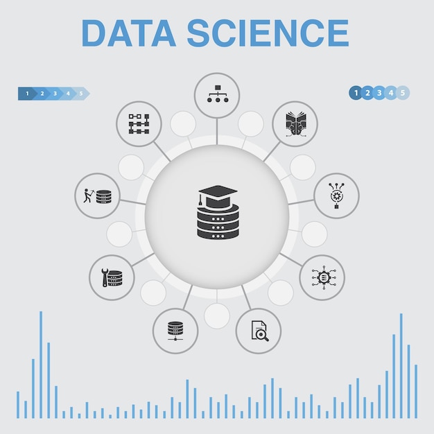 Vettore infografica sulla scienza dei dati con icone contiene icone come la classificazione del database dei big data di apprendimento automatico