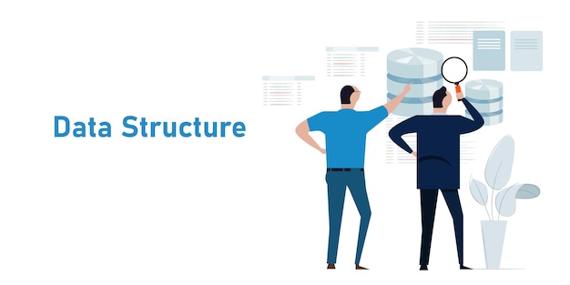 data structure database analyst looking into schema information