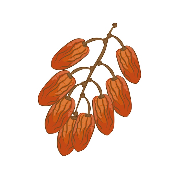 Vector date fruit cartoon illustration logo