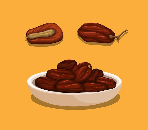 Vector date fruits illustration