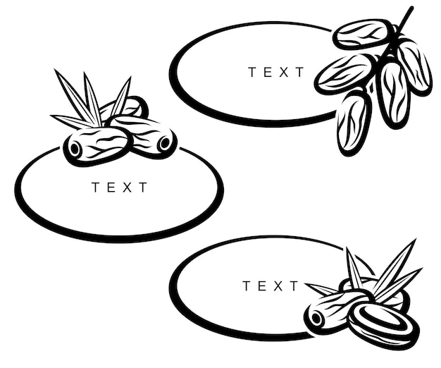 Vector dates fruit set collection icon dates fruit vector