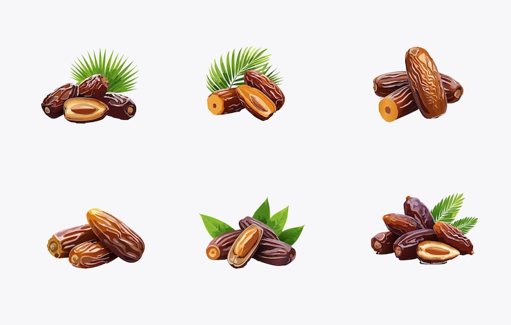Vector dates khajoor vector icon set