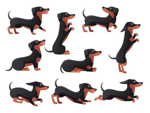 Daushundポーズ漫画dachsand犬キャラクターポーズ血統品種daushundsハウンド犬ポーズジャンプして実行ロングソーセージフラットアイコンまともなセットベクトルイラスト
