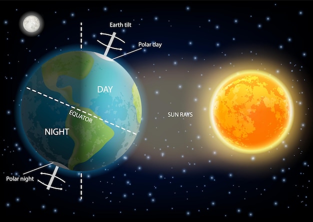 Day and night cycle diagram vector illustration