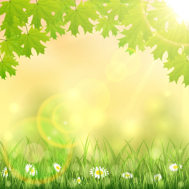 De achtergrond van de lenteaard met bloemen in de bladeren van de grasesdoorn en de zonillustratie