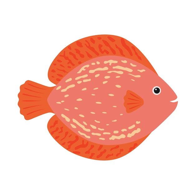 De aquariumvis discus roze.