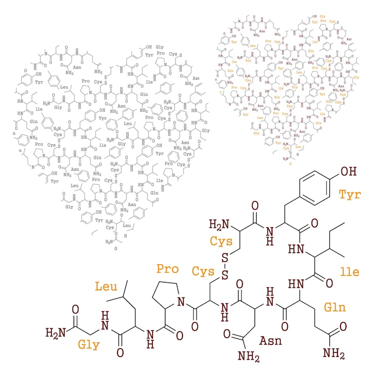 Vector de chemie van de liefde.