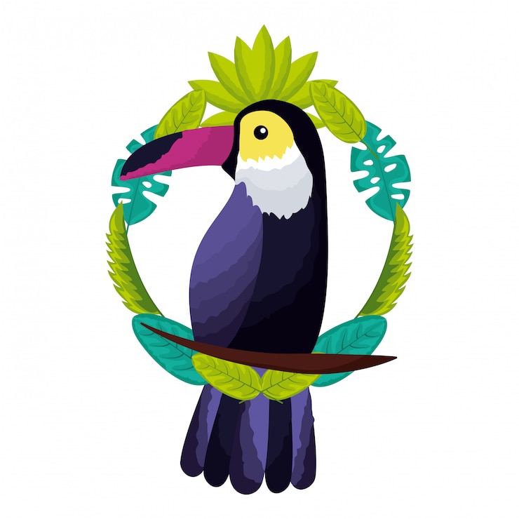 Vector de exotische tropische bladeren van de toekanvogel