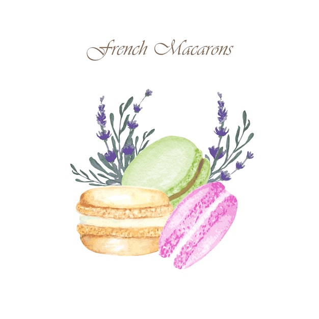 De hand getrokken samenstelling van waterverf franse macaron cakes met lavendelbloemen, frans gebakjedessert, makaronkoekjes.