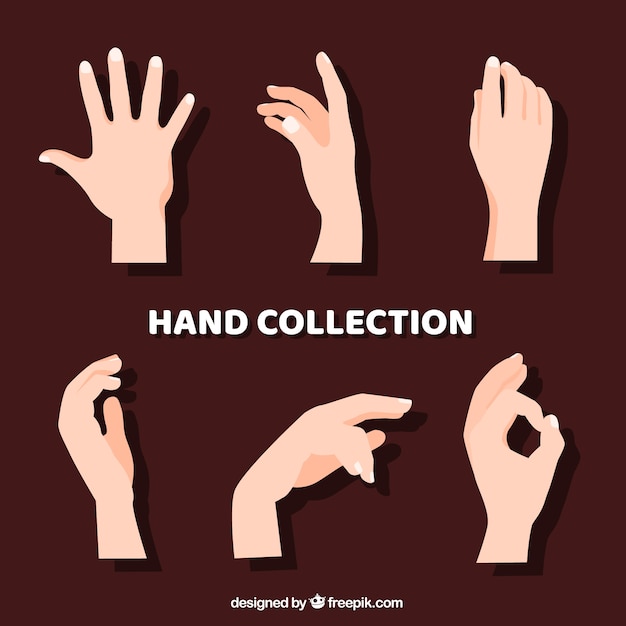 Vector de handeninzameling met verschillend stelt in hand getrokken stijl