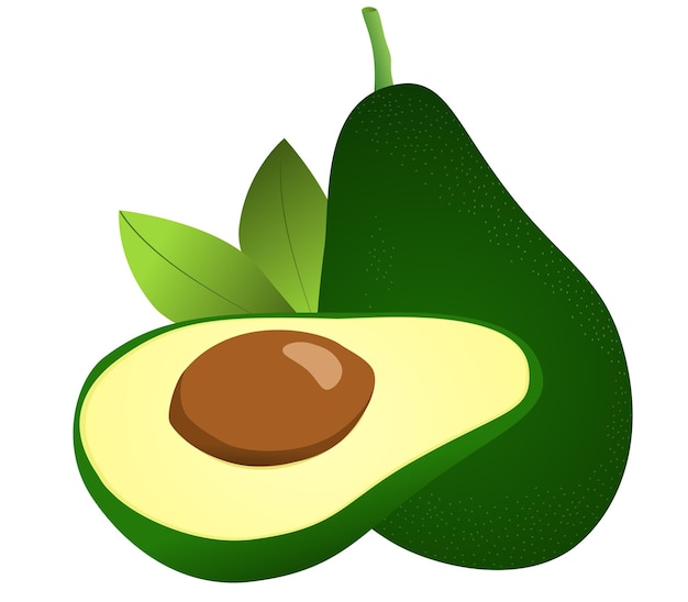 De helft van avocado en avocado fruit vector