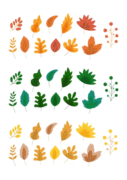 De herfst verlaat kleurrijke samenstellingen, vector geplaatste illustraties. Cartoon gebladerte