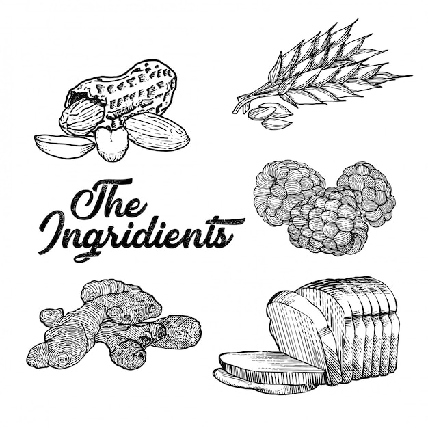 Vector de ingridients-illustratie