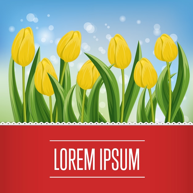 De lentebanner met bloeiende tulp en exemplaarruimte