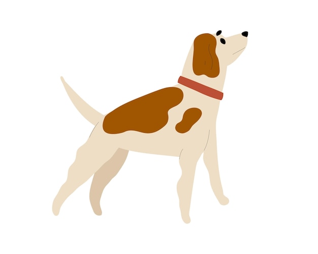 Vector de lichte hond is een beagle een huisdier loopt in een rode halsband