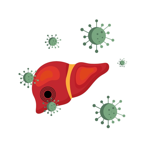 De menselijke lever wordt aangevallen door virussen en bacteriën anatomie