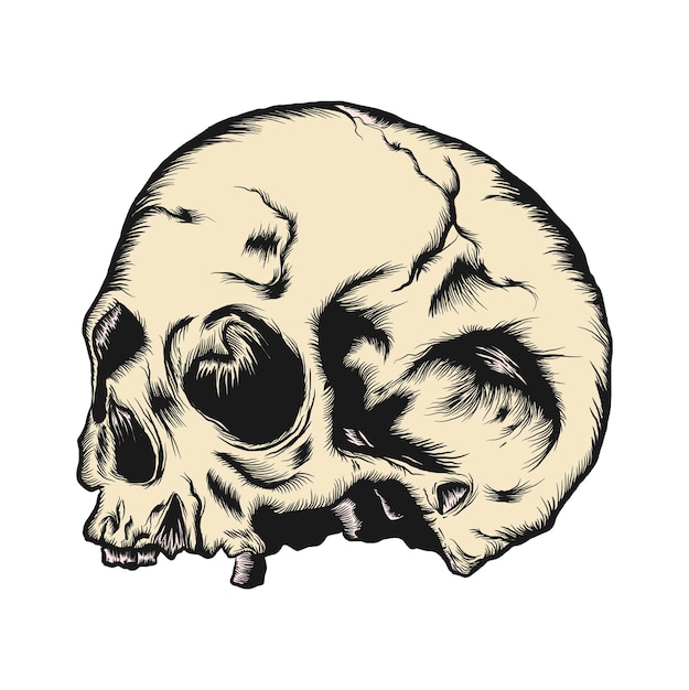 De menselijke schedel geïsoleerd op een witte achtergrond