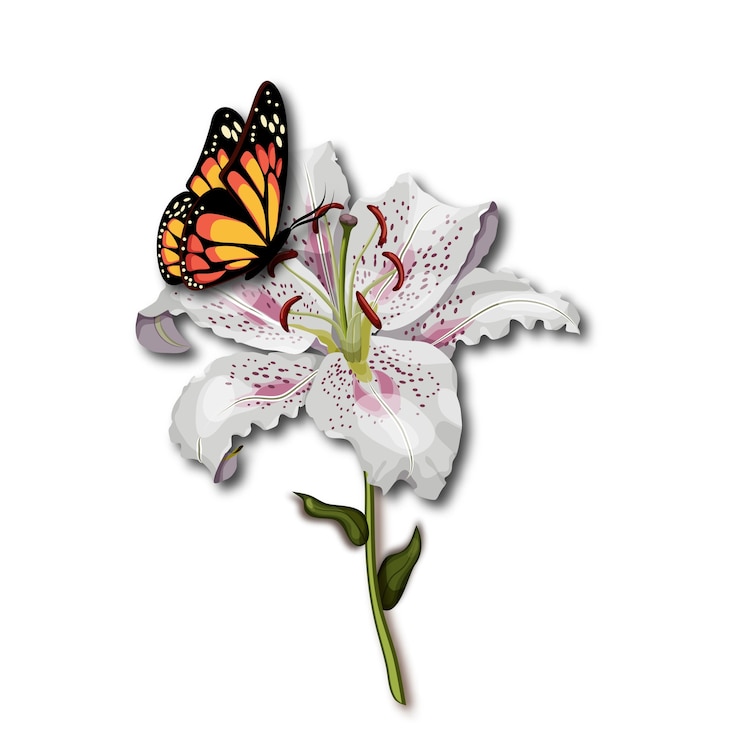Vector de monarchzitting van de vlinder op de witte leliebloem