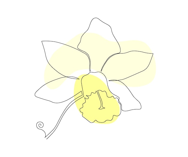 Vector de narcissus bloem enkele lijn een monoline cosmetica symbool schoonheidssalon logo