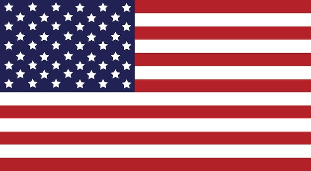 De officiële vlag van de Verenigde Staten van Amerika USA Een Amerikaanse nationale vlag van Noord-Amerika