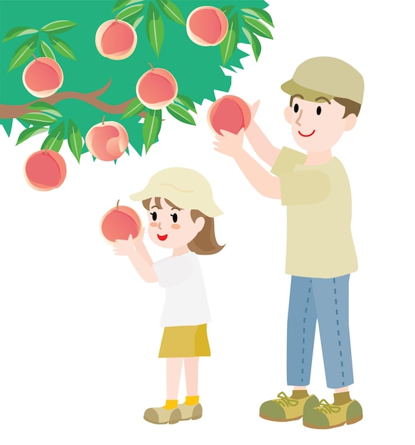 De ouder en het kind die perziken plukken