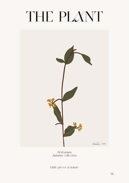 De plant. Herfst bloemenmarkt poster. Herbarium