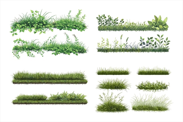 De planten groeien in het gras.