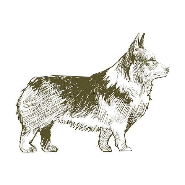 Vector de stijl van de illustratietekening van hond