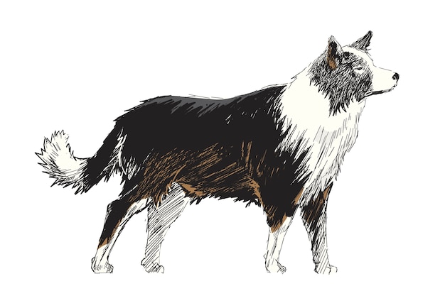 Vector de stijl van de illustratietekening van hond