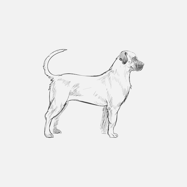 De stijl van de illustratietekening van hond