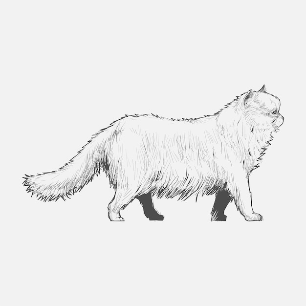 De stijl van de illustratietekening van kat