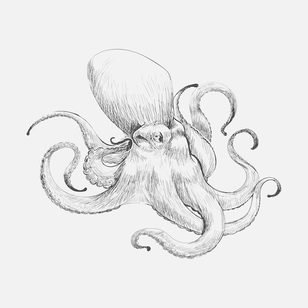 De stijl van de illustratietekening van octopus