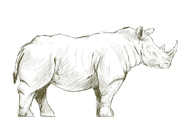 De stijl van de illustratietekening van rinoceros