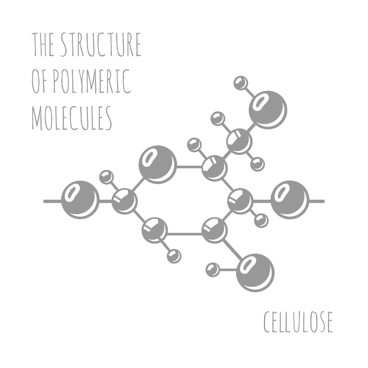 Vector de structuur van moleculen cellulose