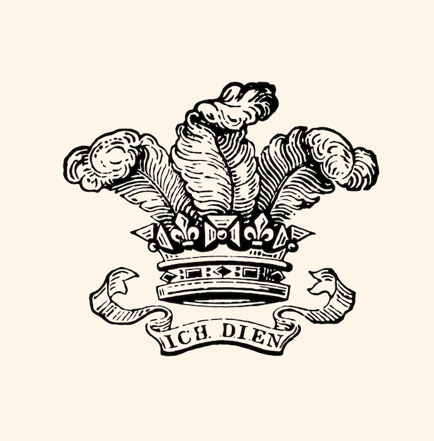 De veren van de Prins van Wales zijn het heraldische kenteken van de Prins van Wales. Het gebruik ervan is algemeen