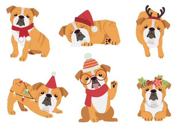 De verzameling bulldog in veel acties voor kerstthema.