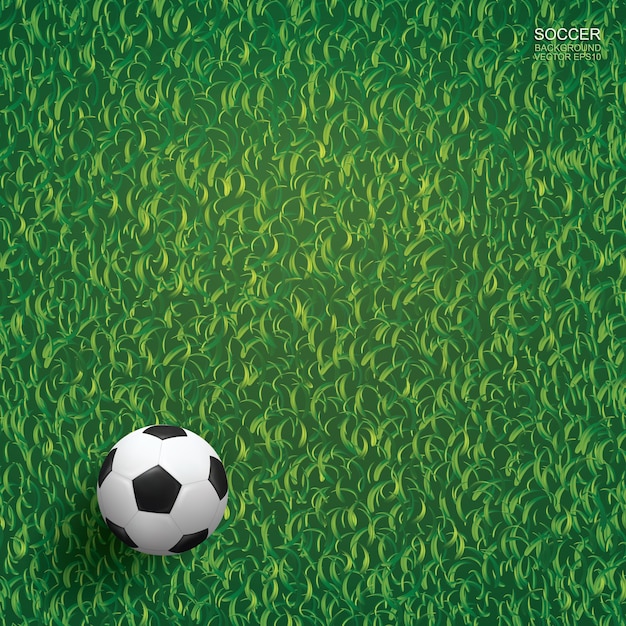 De voetbalbal van het voetbal op groen gras van de achtergrond van het voetbalgebied.