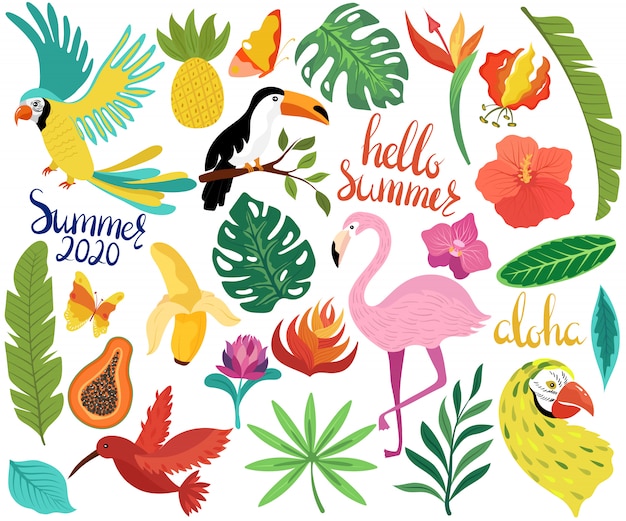 De zomerpictogrammen met tropische vogels en exotische bloemen vectorillustratie